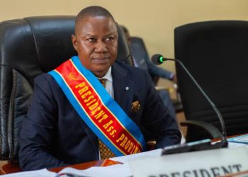 Investiture du gouvernement Bumba : La session extraordinaire va traiter les matières relatives aux contrôles parlementaires (Lévi Mbuta)