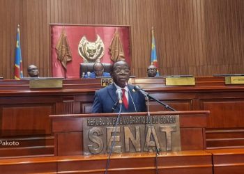 Audition des messages de campagne: « Je m’engage à m’occuper du social des sénateurs » ( Bahati Lukwebo, candidat deuxième vice-président )