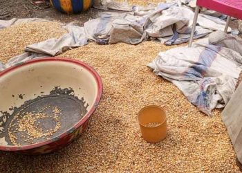 Hausse de prix de maïs à Tshikapa : un seau de maïs passe de 13.000 à 20.000 FC, le gouvernement provincial appel au calme