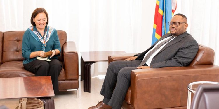 Les réformes des finances publiques : La Belgique disposée de mettre à la disposition du gouvernement congolais des experts pour soutenir cette initiative