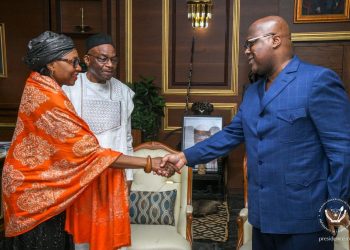 Diplomatie : L’Internationale Socialiste/Pool Afrique apporte son soutien à la République démocratique du Congo