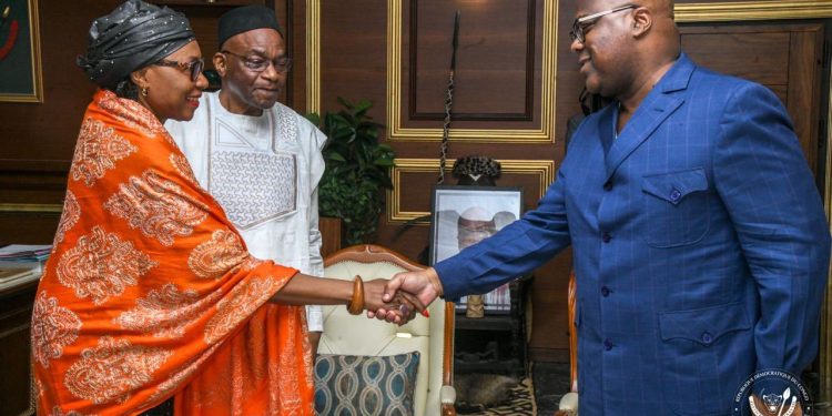 Diplomatie : L’Internationale Socialiste/Pool Afrique apporte son soutien à la République démocratique du Congo