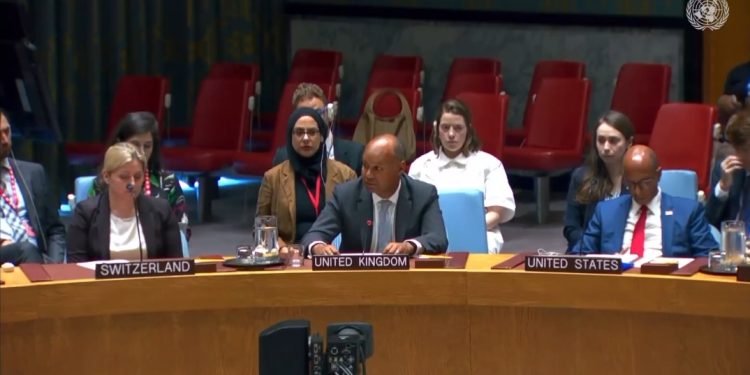 Guerre à l’Est : le conseil de sécurité de l’ONU autorise la force de la SADC à exploiter la logistique de la MONUSCO