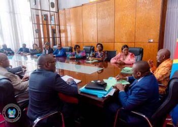 Assemblée nationale: L’UDPS et ses alliés veulent diriger les principales commissions parlementaires permanentes