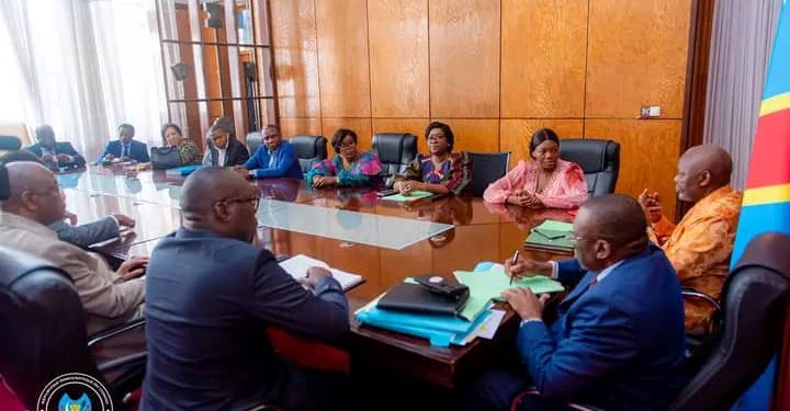 Assemblée nationale: L’UDPS et ses alliés veulent diriger les principales commissions parlementaires permanentes