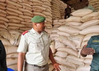 Kasaï Oriental : Le Service National suspend momentanément vente du maïs à Mbuji-Mayi, et donne les raisons (Officiel)