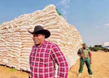 Mbuji-Mayi : Le Service National reprend la vente du maïs, 24 heures après la suspension