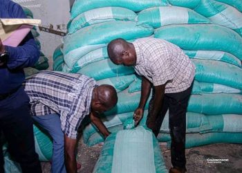 Kasaï-Oriental : Un sac de près de 100 kg de maïs de la Réserve Stratégique Générale vendu à 145.000 FC à Mbuji-Mayi