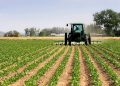 RDC : Le gouvernement de la République lance officiellement la campagne agricole ce mardi 15 octobre 2024