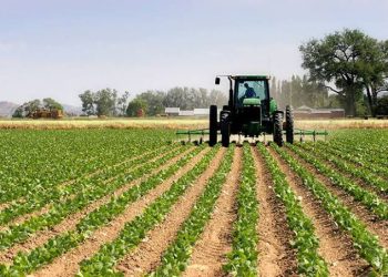 RDC : Le gouvernement de la République lance officiellement la campagne agricole ce mardi 15 octobre 2024