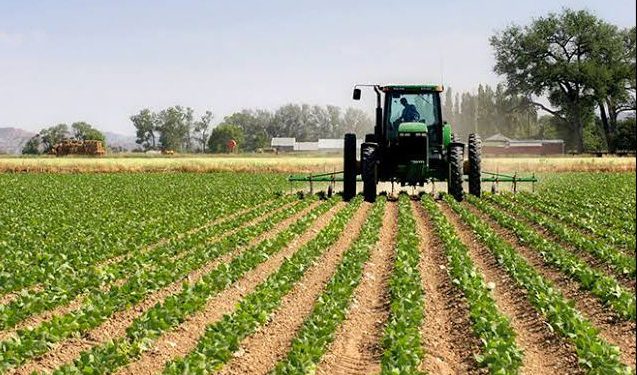 RDC : Le gouvernement de la République lance officiellement la campagne agricole ce mardi 15 octobre 2024