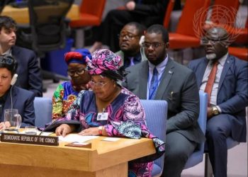 Conseil de sécurité de l’ONU: La ministre du Genre, famille et enfant, LEONNIE KANDOLO plaide pour la participation des femmes au processus de paix en RDC