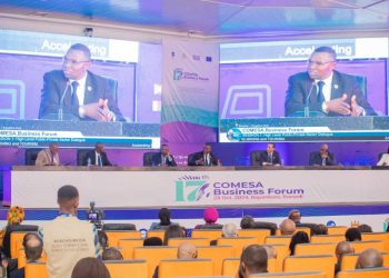 Forum d’affaires du COMESA : le gouvernement congolais propose la création de banques d’investissement
