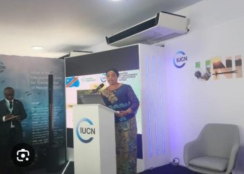COP-16 : Le gouvernement congolais encourage la campagne d’écocide qui vise à reconnaitre la destruction de la biodiversité comme crime dans le statut de Rome