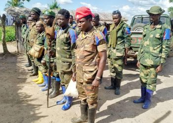 Insécurité dans l’Est de la RDC : La coalition FARDC-UPDF a désarmé 14 miliciens en Ituri (Armée)