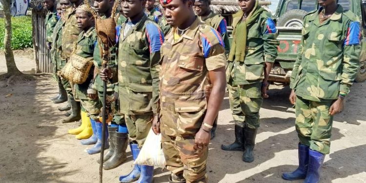 Insécurité dans l’Est de la RDC : La coalition FARDC-UPDF a désarmé 14 miliciens en Ituri (Armée)