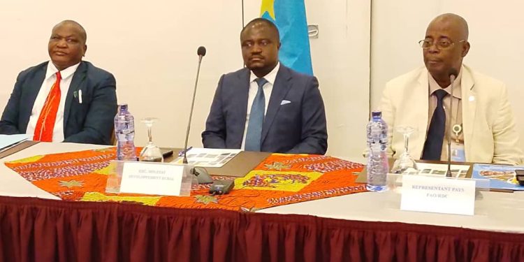 RDC: Le gouvernement a procédé à la validation technique du document de politique nationale de Développement Rural