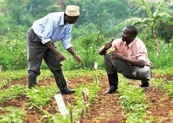 Journée mondiale d’action pour le travail décent : l’OIT s’engage à promouvoir l’emploi, l’entreprise et garantir les droits au travail
