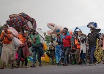 Guerre à l’Est : Plus de cinq millions de personnes ont été assistées entre Janvier et Août 2024 (OCHA)