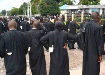 Mai-Ndombe : 529 avocats suspendus du barreau pour non paiement des frais de cotisation annuelle