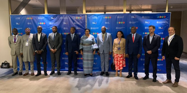 Environnement: Lancement officiel d’un atelier sur la formulation des recommandations de la politique forestière en RDC