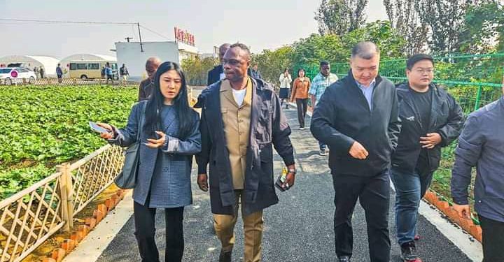 L’expérience agricole chinoise renforce la détermination du gouverneur du Kasaï-Oriental à développer le secteur