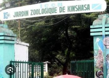 Kinshasa : Le Gouvernement central envisage la délocalisation du jardin zoologique