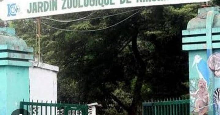 Kinshasa : Le Gouvernement central envisage la délocalisation du jardin zoologique