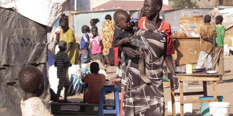 Guerre à l’Est : La FAO cherche 350 millions de dollars américains pour répondre aux besoins humanitaires des populations déplacées