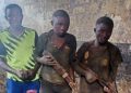 Sud-Kivu : trois présumés criminels arrêtés avec 3 armes à feu contenant plusieurs munitions à Mwenga