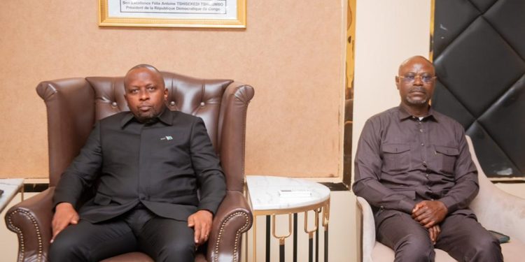 RDC-ZAMBIE : Un incident malheureux à la frontière au centre de la réunion de consultation de la commission Mixte Défense et sécurité convoquée à NDOLA