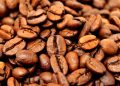 RDC : La FEC alerte le ministre du Commerce extérieur sur l&rsquo;exclusion du cacao et du café Congolais du marché de l&rsquo;Union européenne (Document)