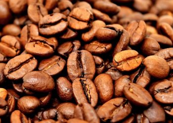 RDC : La FEC alerte le ministre du Commerce extérieur sur l’exclusion du cacao et du café Congolais du marché de l’Union européenne (Document)