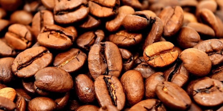 RDC : La FEC alerte le ministre du Commerce extérieur sur l’exclusion du cacao et du café Congolais du marché de l’Union européenne (Document)