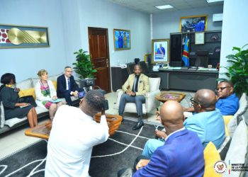 Agression rwandaise : « La France n’a jamais demandé à ses ressortissants de quitter la RDC » (Ambassadeur français)