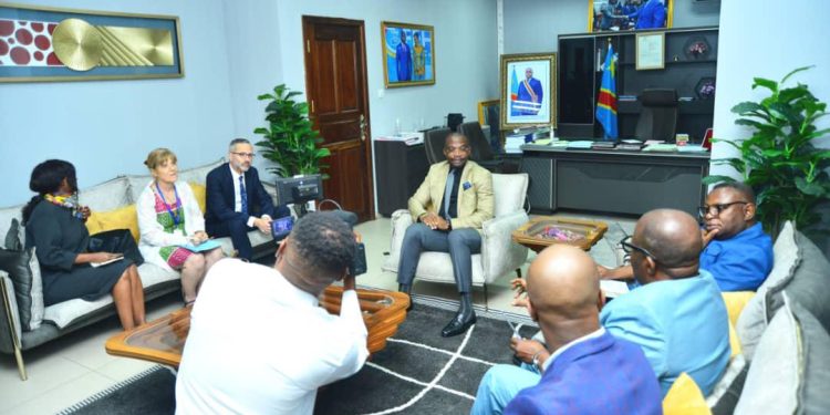 Agression rwandaise : « La France n’a jamais demandé à ses ressortissants de quitter la RDC » (Ambassadeur français)