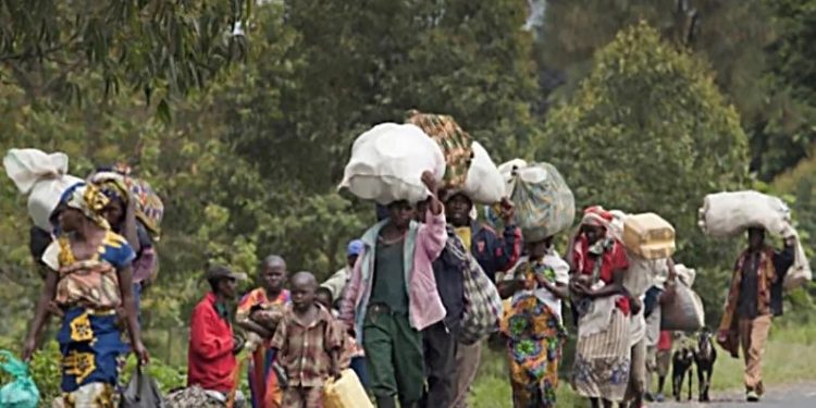 Guerre à l’Est : le HCR demande 40 millions USD pour aider les civils fuyant les violences (Document)