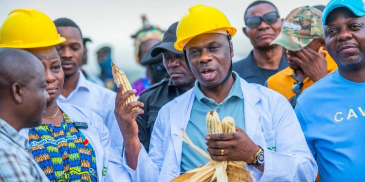 Kasaï-Oriental : le gouvernement provincial lance la récolte de maïs à Tshilenge