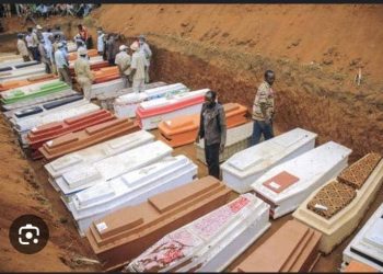 Guerre à l’Est : Plus de 200 civils tués lors d’attaques armées dans la province de l’Ituri (OCHA)