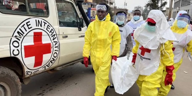 Guerre à l’Est : La Croix-Rouge révèle la découverte de 406 corps dans le Sud-Kivu, dont 110 civils