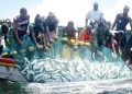 RDC: le gouvernement envisage de professionnaliser la pêche artisanale évoluant encore dans l&rsquo;informel