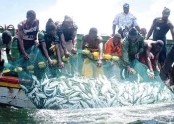 RDC: le gouvernement envisage de professionnaliser la pêche artisanale évoluant encore dans l’informel