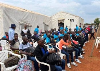Nord-Kivu : Lancement de l&rsquo;opération de remise des cartes d&rsquo;identification biométrique aux 800 ex-combattants à Beni