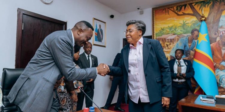 Guerre à l’Est : Les députés médecins alertent la première Ministre Judith SUMINWA sur la situation alarmante des réfugiés congolais au Burundi