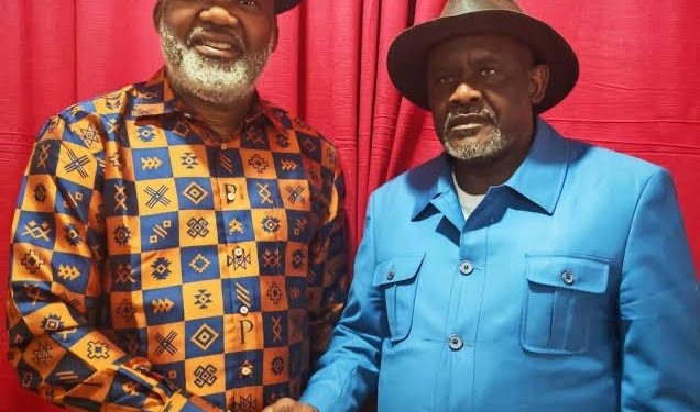 RDC : après le PPRD, les partis de Nangaa, Franck Diongo et Thomas Lubanga suspendus