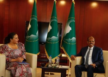 Agression rwandaise: la paix et la stabilité au cœur d’un échange entre Thérèse Kayikwamba et le président de la Commission de l’UA