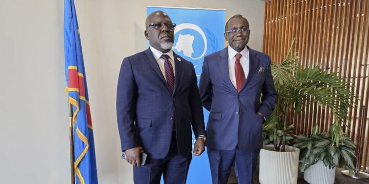Diplomatie : La RDC présente sa feuille de route pour le Conseil de sécurité de l’ONU (2026-2027)