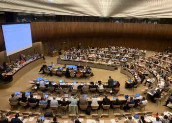 Éthiopie : Avant Genève , La RDC présente à Addis-Abeba pour préparer le Conseil International du Travail