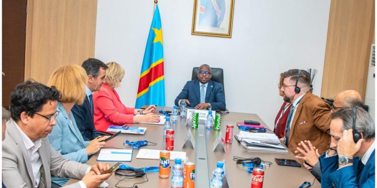 Assemblée parlementaire: Un soutien financier de 30 millions d’euros pour la réforme de la Police nationale congolaise