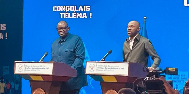 RDC : « Nous avons également consenti à un investissement de près de 50 millions de dollars dans le secteur industriel. » (Ministre de l’Industrie)